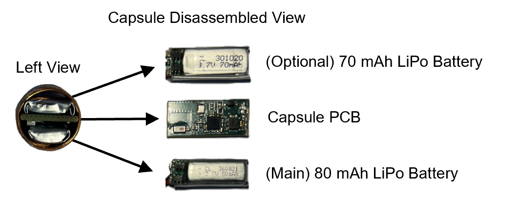Capsule localization project photo 3